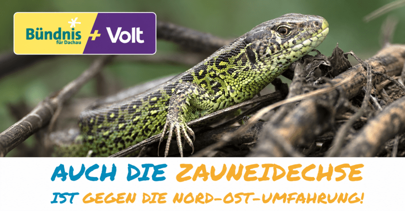 Ostumfahrung: Ein Blick zurück, der wieder aktuell&nbsp;ist